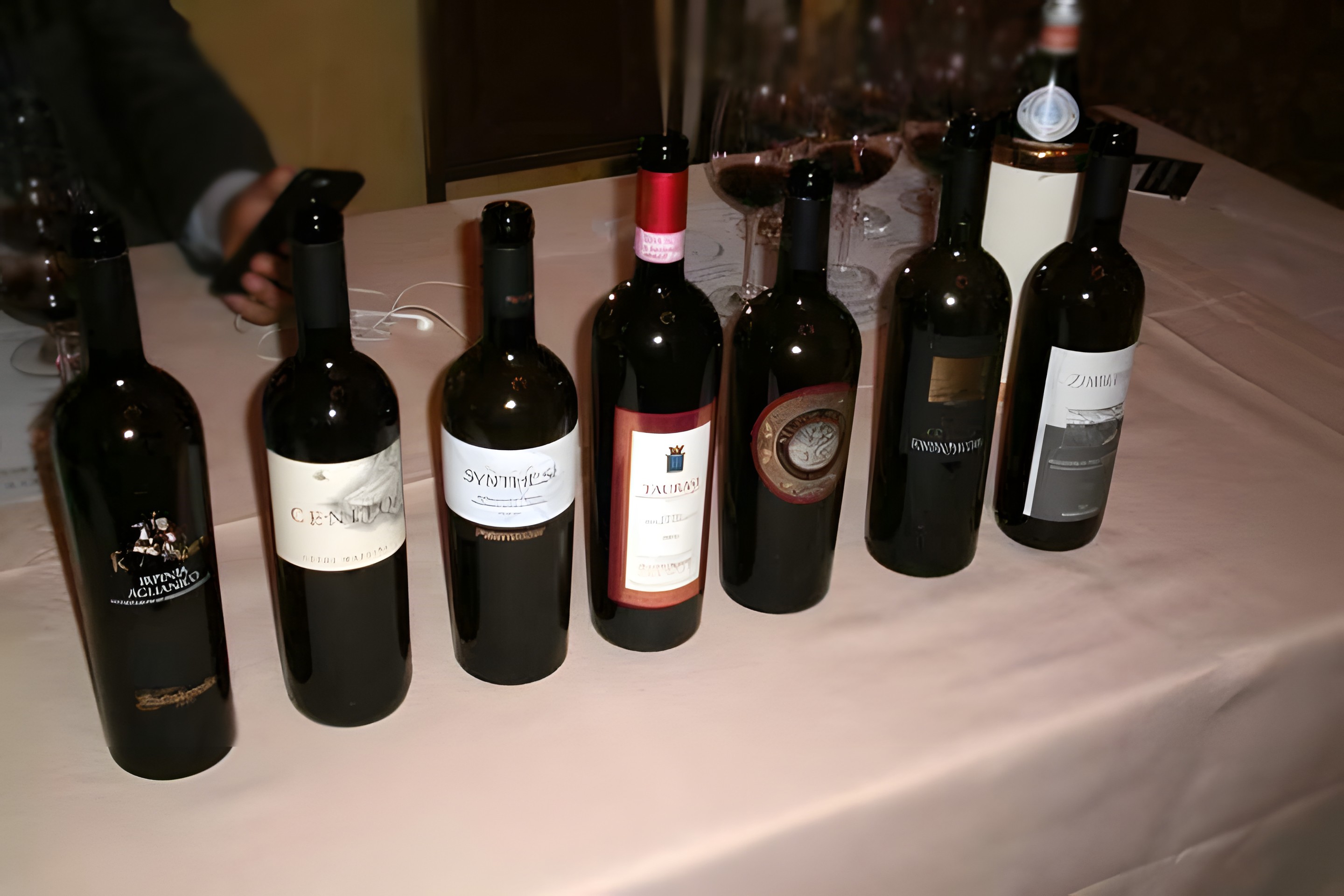 L’Aglianico e i suoi territori – La degustazione