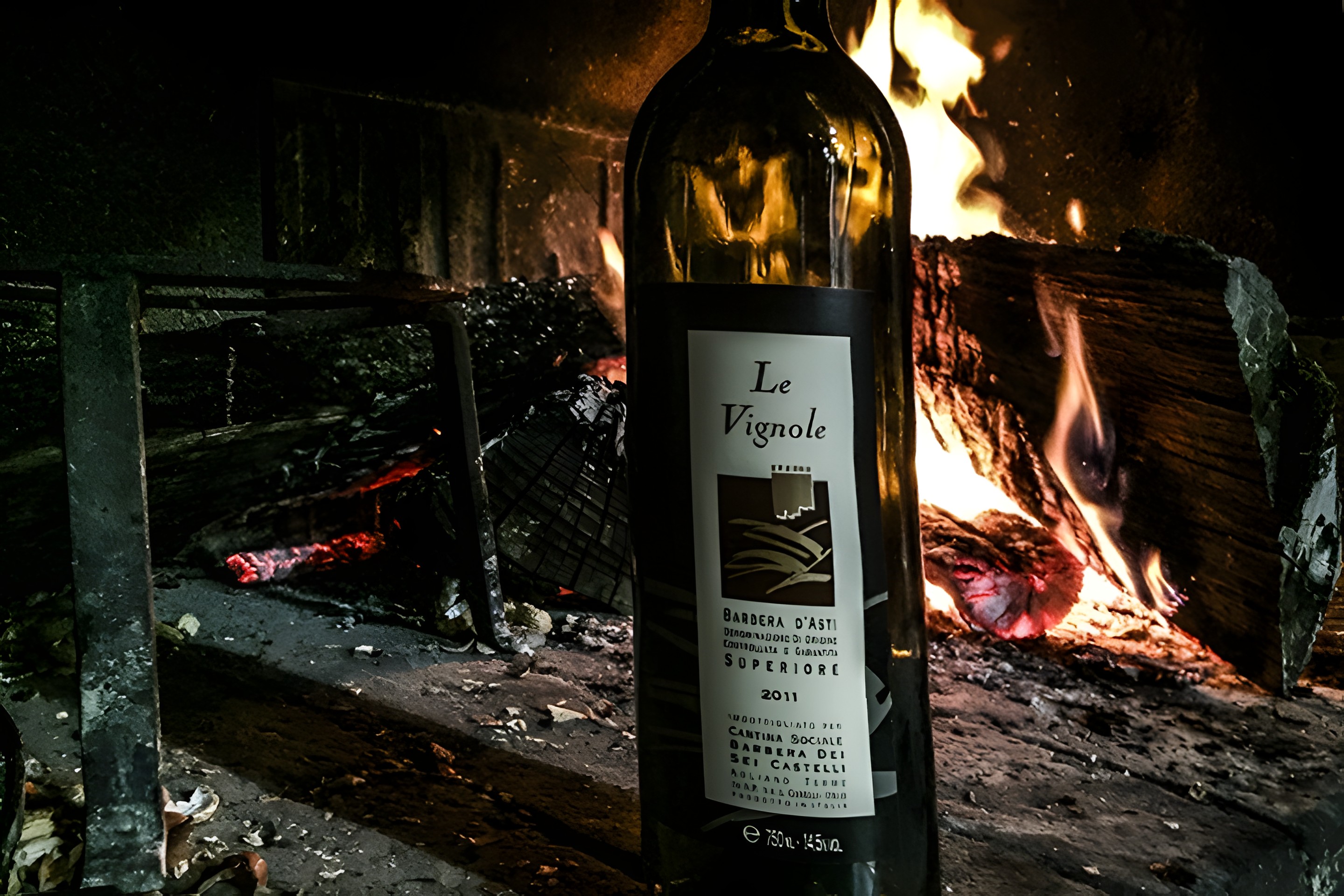 Le Vignole Barbera d’Asti DOCG Superiore 2011: qualità alla portata di tutti