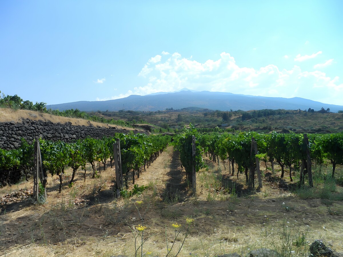 VIAGGIO TRA LE CONTRADE DELL’ETNA