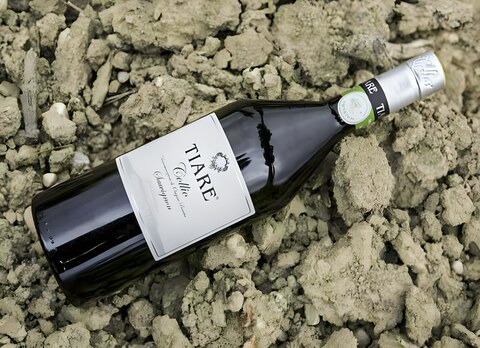 Tiare, un grand Sauvignon du Frioul