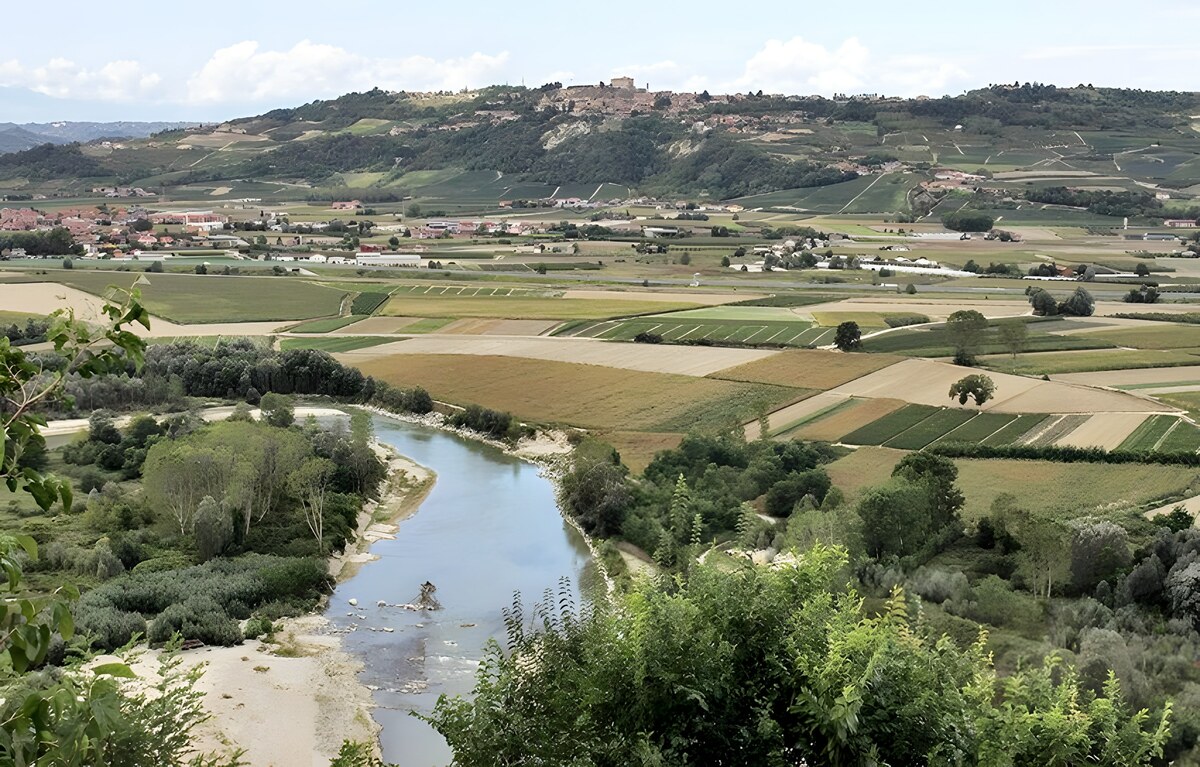 Paese che vai, Nebbiolo che trovi
