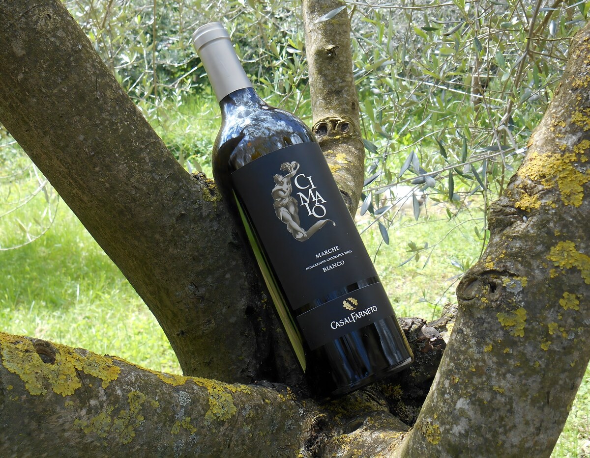 Vino e Amore - Contest #StorieDiVino