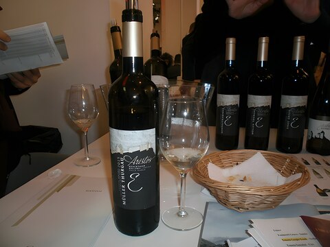 Muller Thurgau,探索这款南蒂罗尔葡萄品种