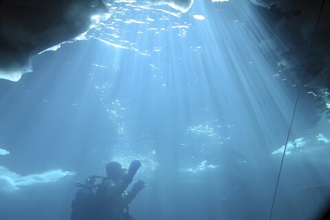 Discovering Under Sea Wines: a dive into submerged wines