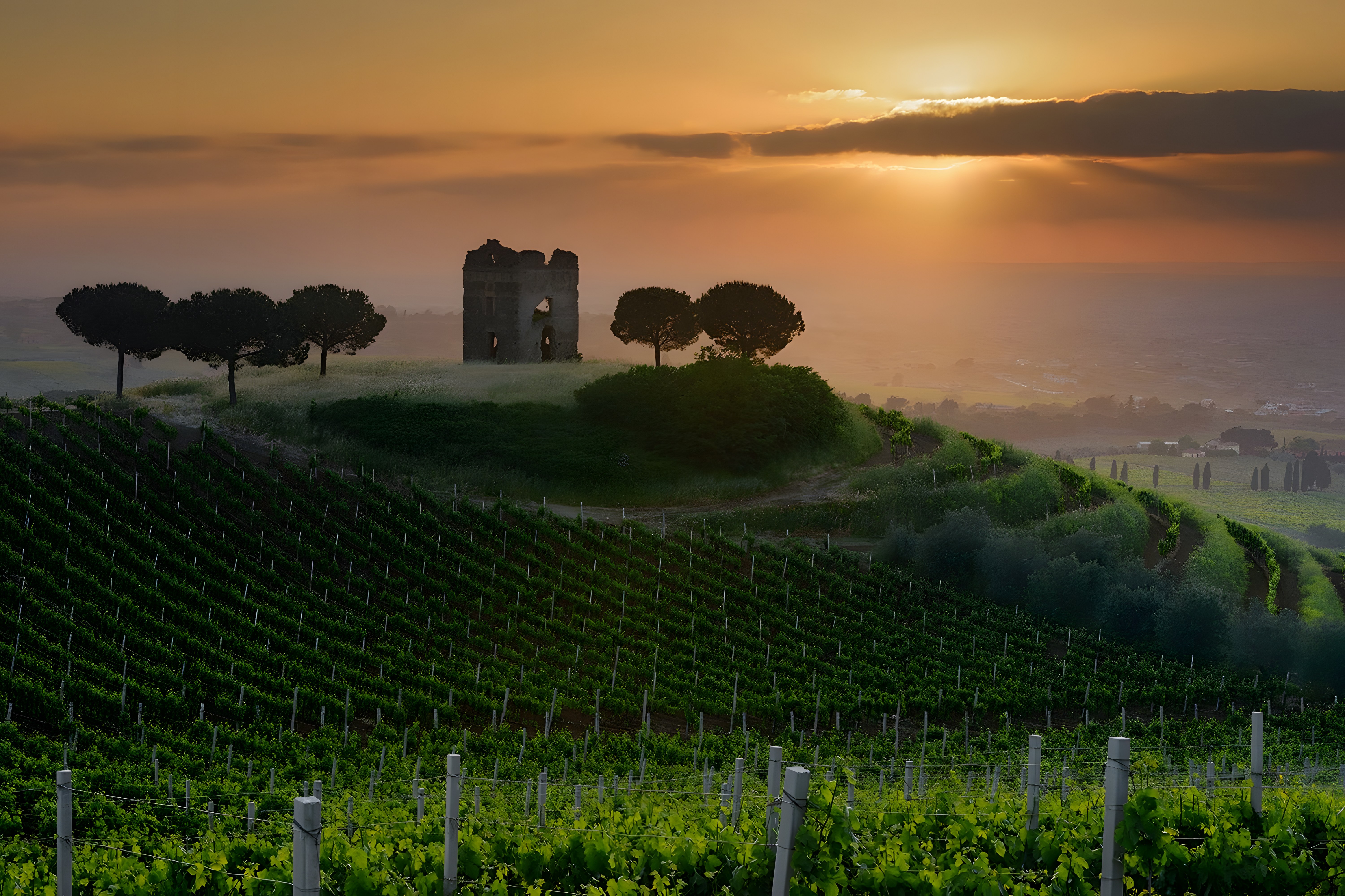 Degustazione del premiato vino Frascati