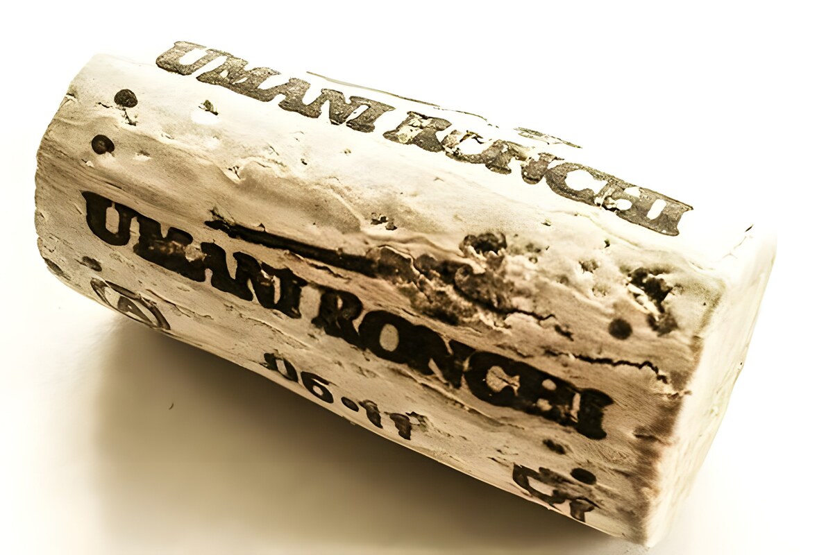 Vigne Umani Ronchi tra tradizione e progresso
