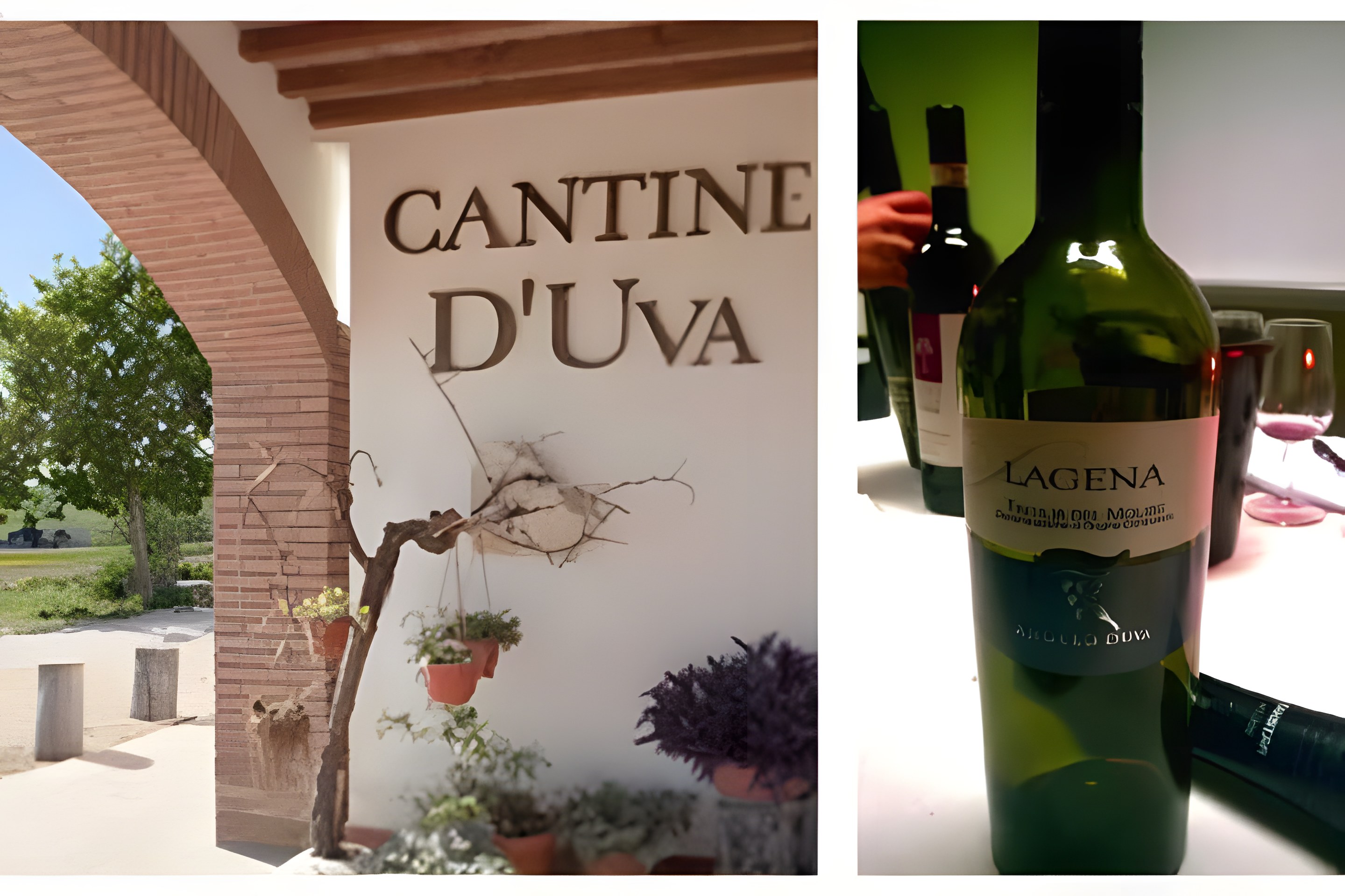 Lagena D'Uva un'ottima tintilla del molise