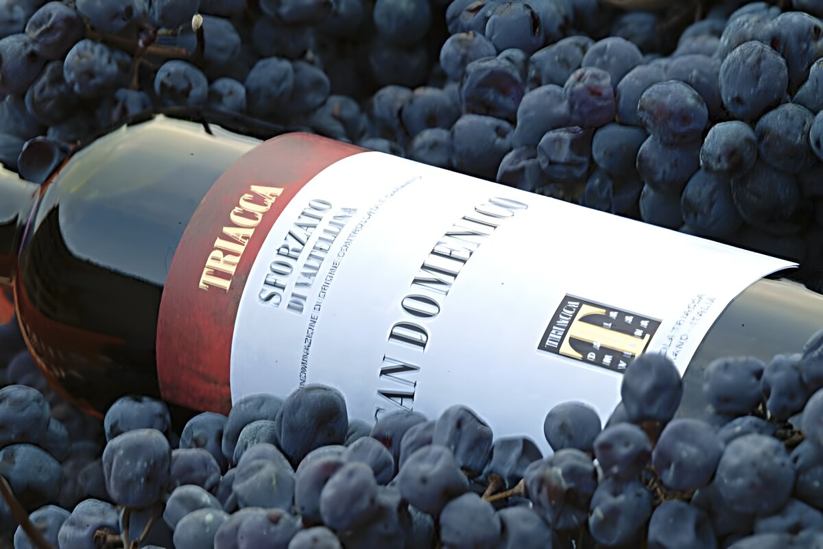 Triacca presenta la Chiavennasca, il Nebbiolo di Valtellina