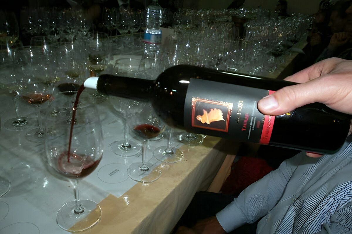 Taurasi di Terredora: degustazione in cantina