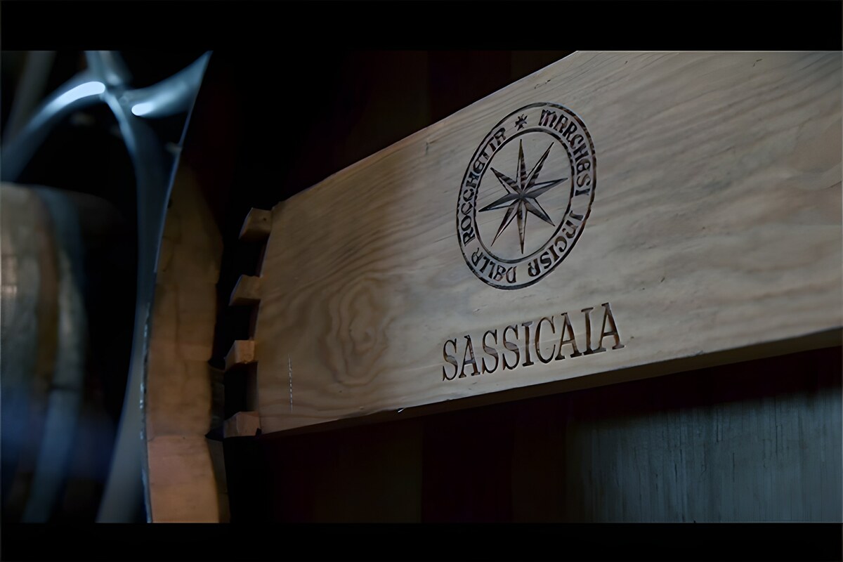 Sassicaia, il Bordolese di Tenuta San Guido
