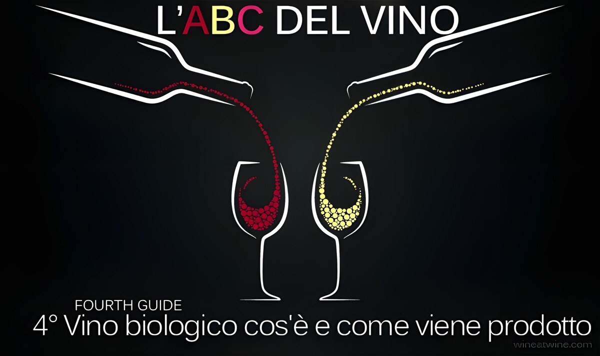 Guida: Vino biologico cos'è e come viene prodotto
