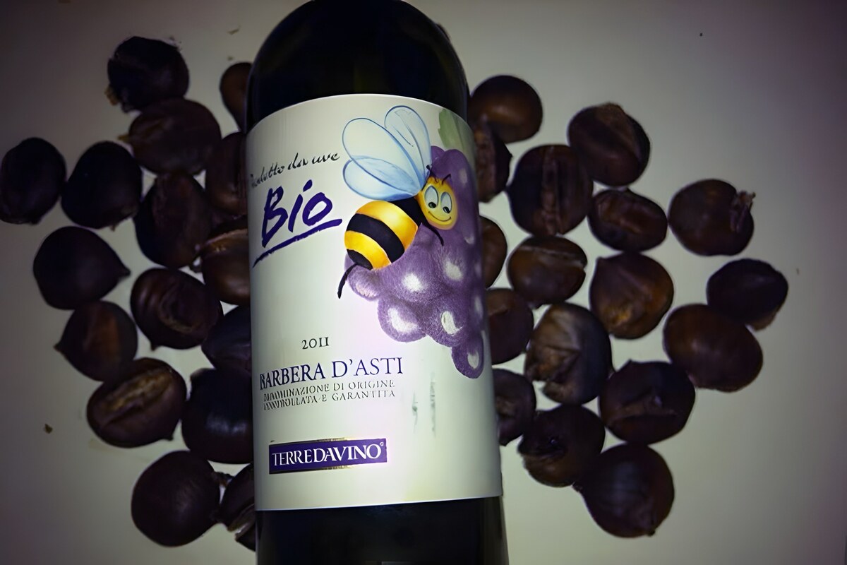 Barbera d’Asti Biologico Terre da Vino: semplicità ed accessibilità